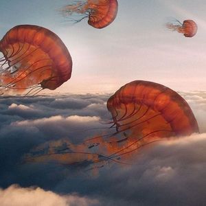 Meet your Posher, John a.